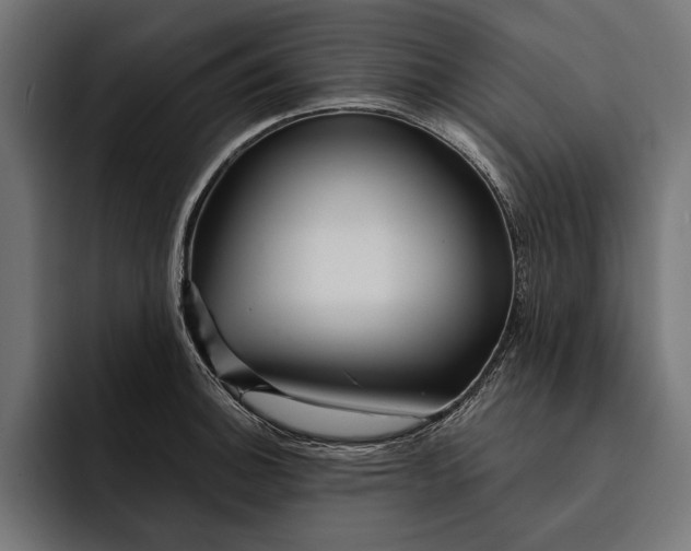 X0000093111140200710101017