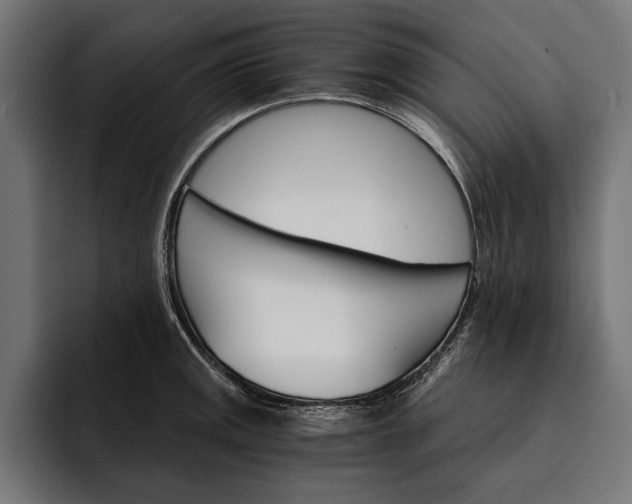 X0000093111141200710101017