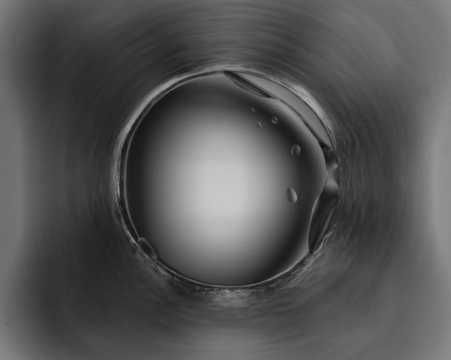 X0000093111148200710101017