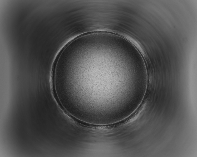 X0000093111149200710101017