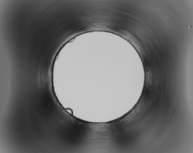 X0000093111150200710101017