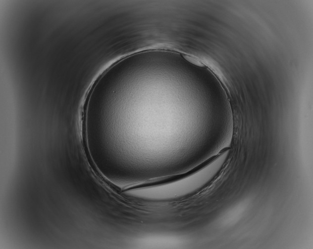 X0000093111151200710101017