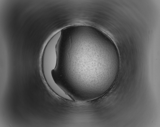 X0000093111152200710101017