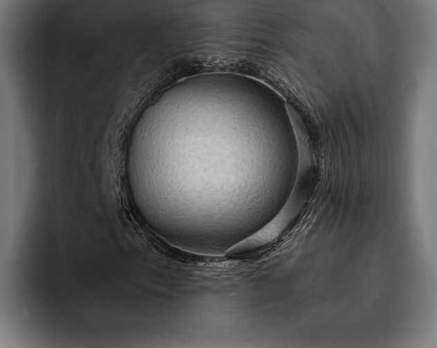 X0000093111153200710101016