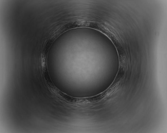 X0000093111154200710101016