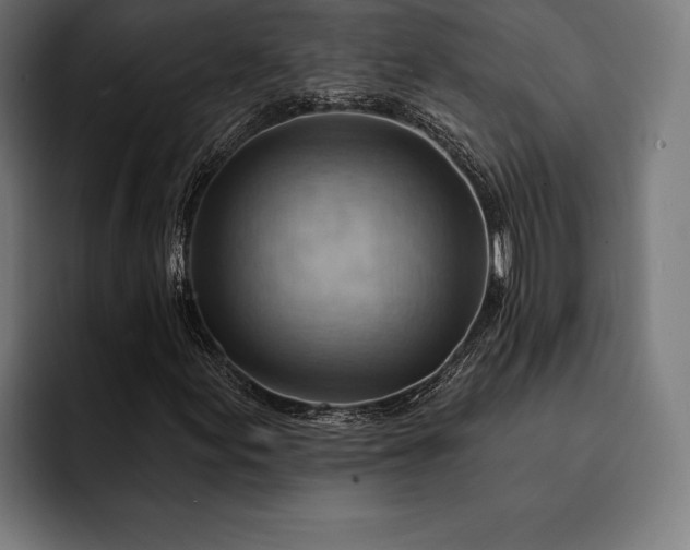 X0000093111155200710101016