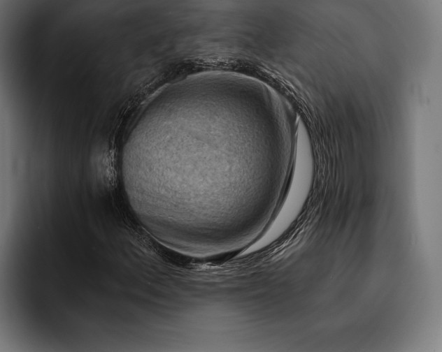 X0000093111156200710101016