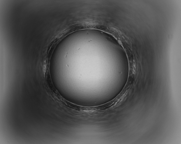 X0000093111157200710101016