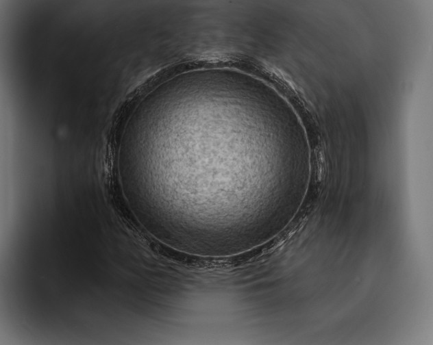 X0000093111158200710101016