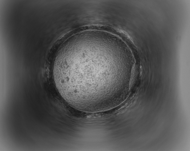 X0000093111159200710101016