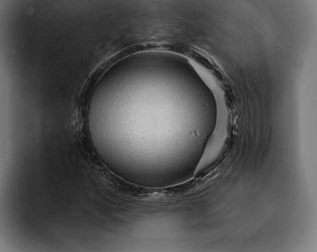 X0000093111160200710101016