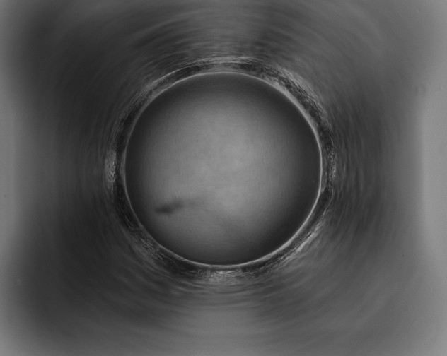 X0000093111161200710101016