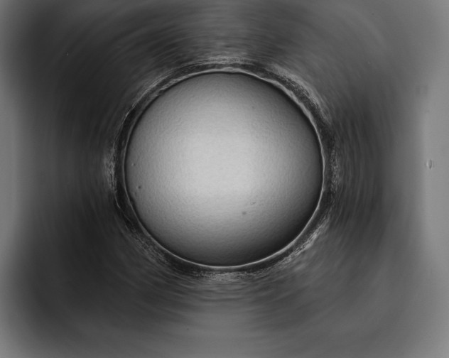 X0000093111162200710101016