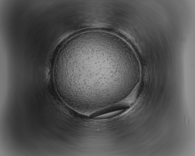 X0000093111163200710101016