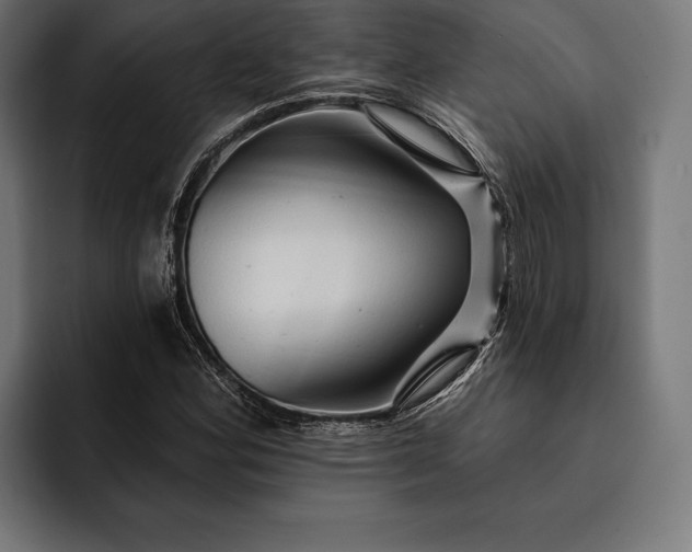 X0000093111164200710101016