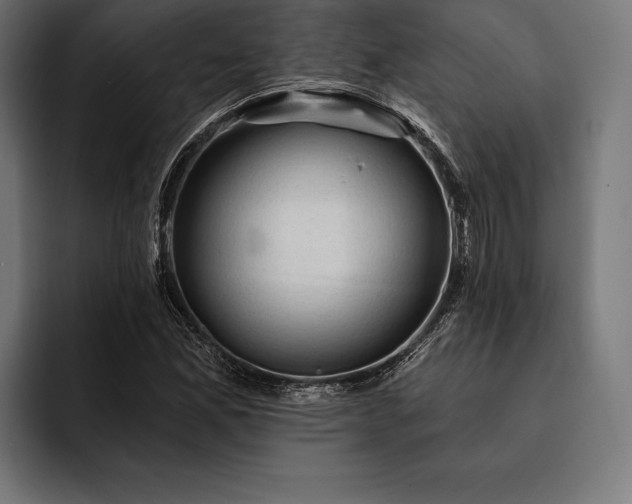 X0000093111165200710101016