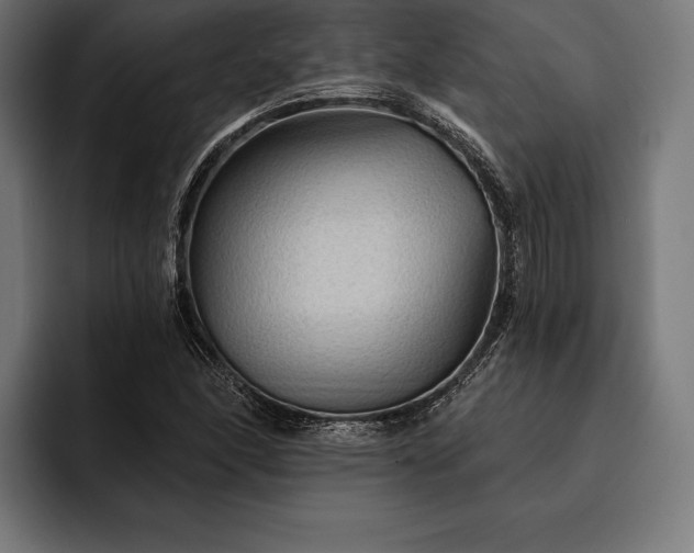 X0000093111166200710101016