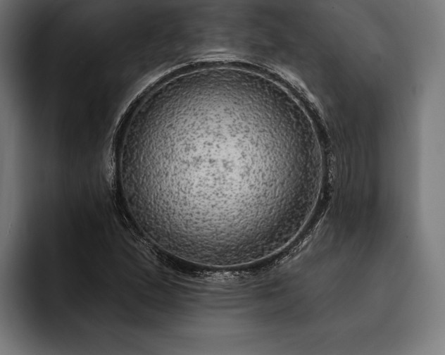 X0000093111167200710101016