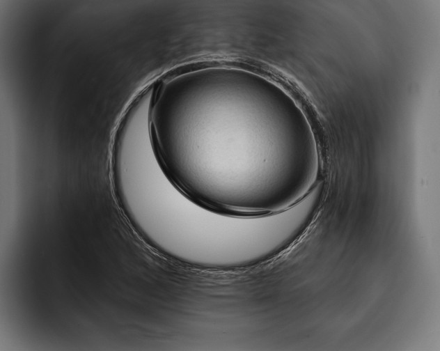 X0000093111168200710101016