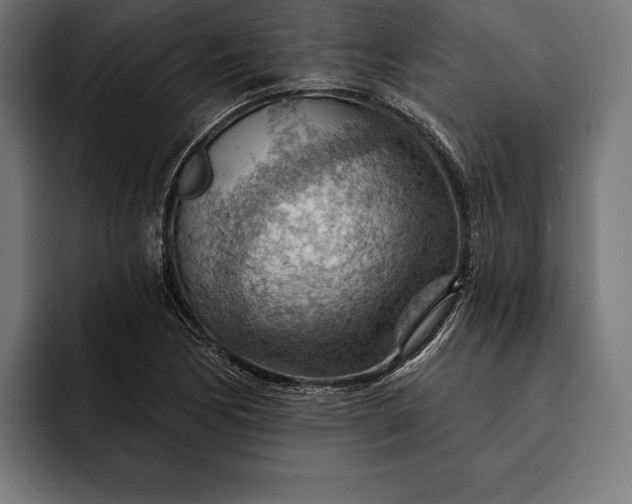 X0000093111170200710101016