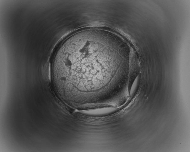 X0000093111171200710101016