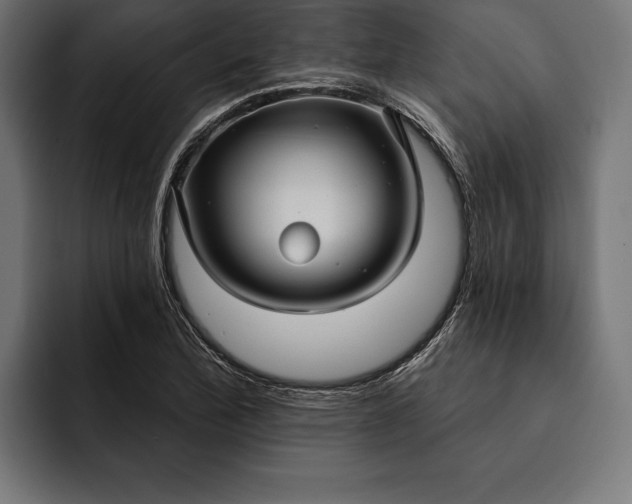 X0000093111172200710101016