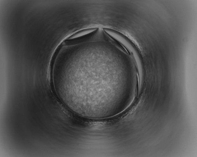 X0000093111173200710101016