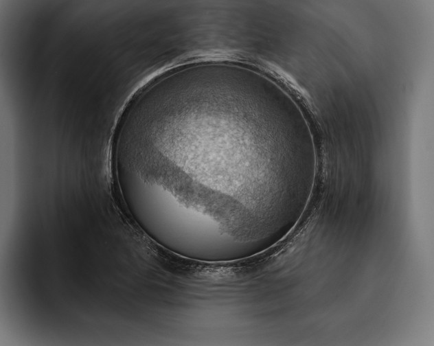 X0000093111174200710101016