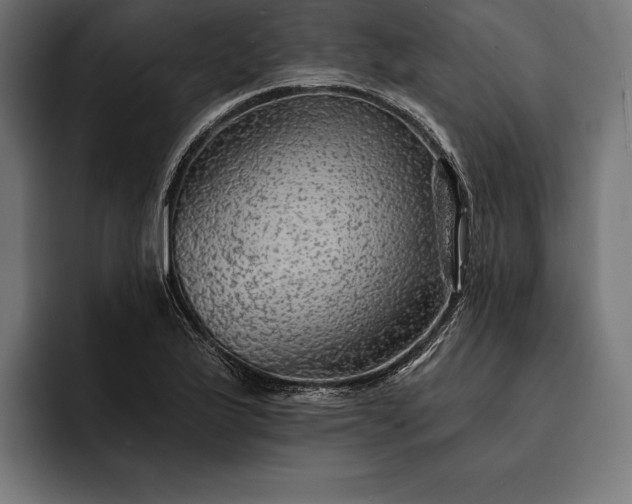 X0000093111175200710101016