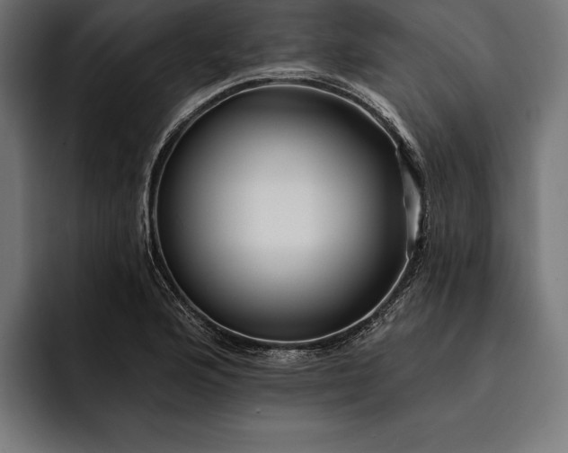 X0000093111176200710101016