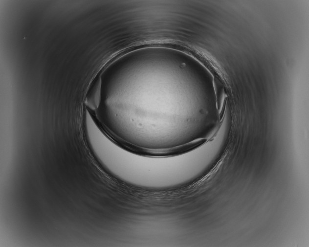 X0000093111177200710101016