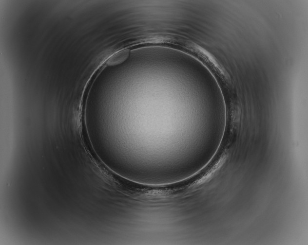 X0000093111178200710101016