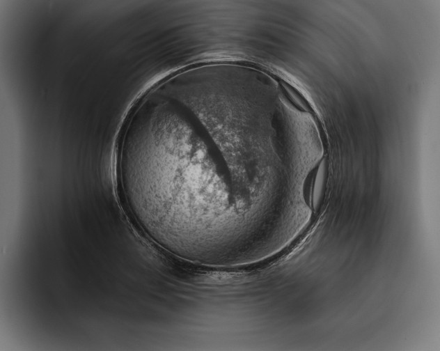 X0000093111179200710101016