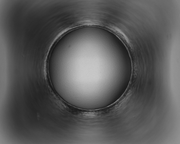 X0000093111182200710101016