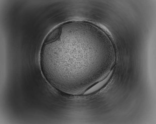 X0000093111183200710101016