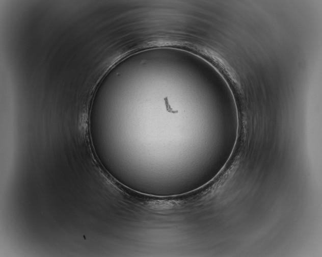 X0000093111185200710101016