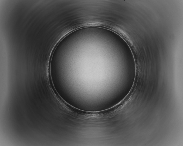 X0000093111186200710101016