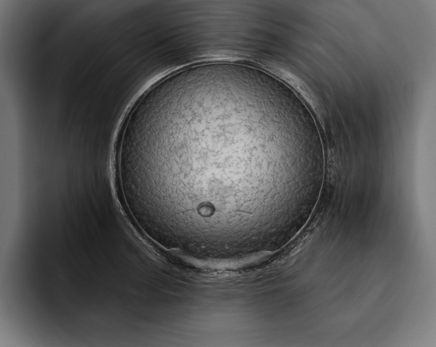 X0000093111187200710101016