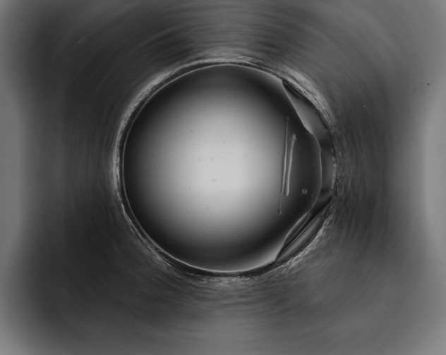 X0000093111188200710101016