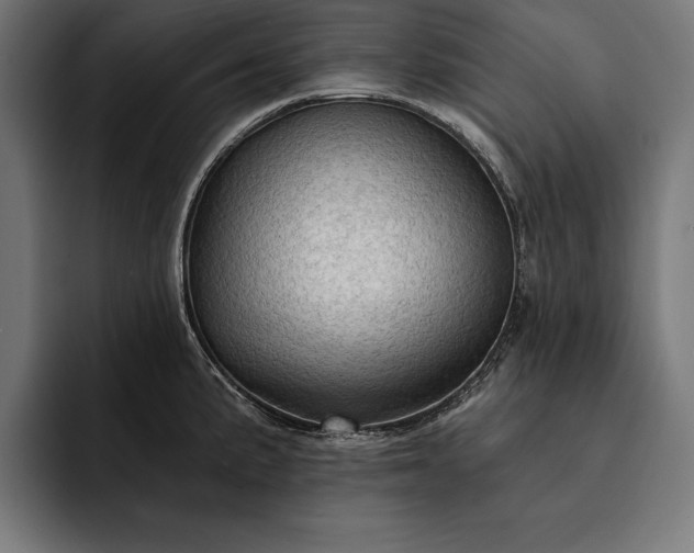 X0000093111191200710101016