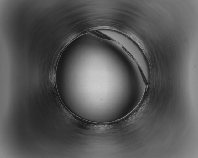 X0000093111193200710101016