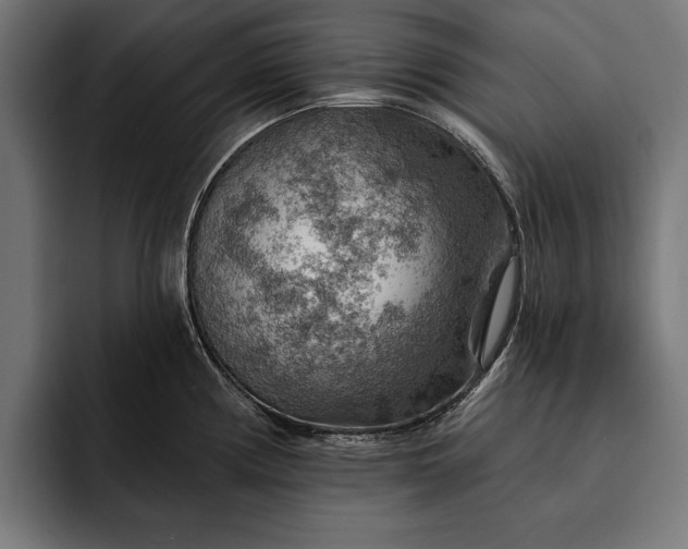 X0000093111194200710101016