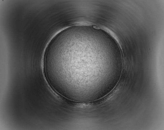 X0000093111195200710101016