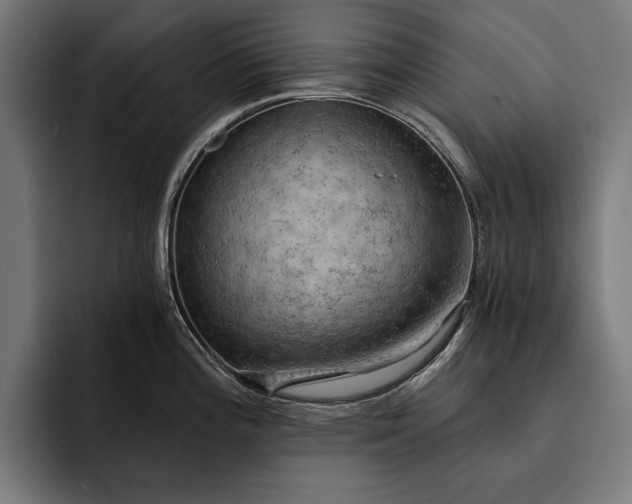 X0000093111196200710101016