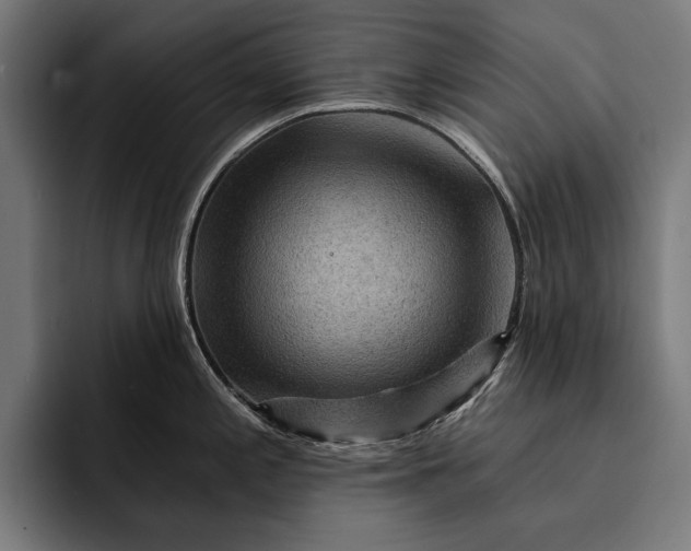 X0000093111197200710101016