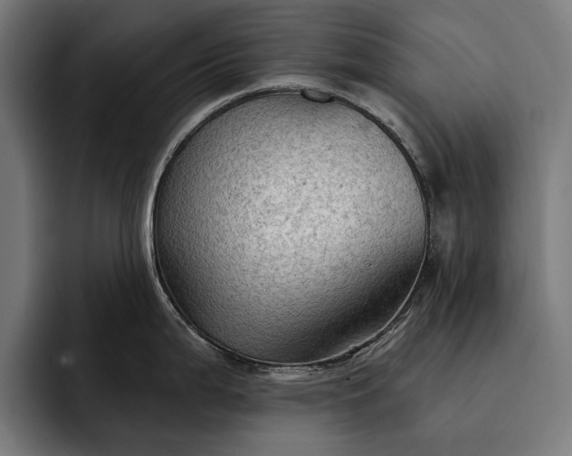 X0000093111199200710101016