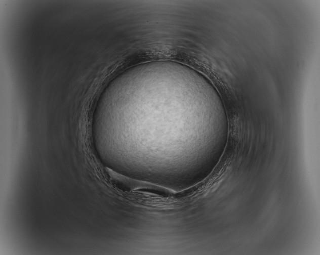 X0000093111201200710101015