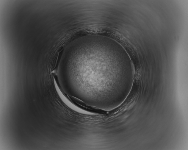 X0000093111202200710101015