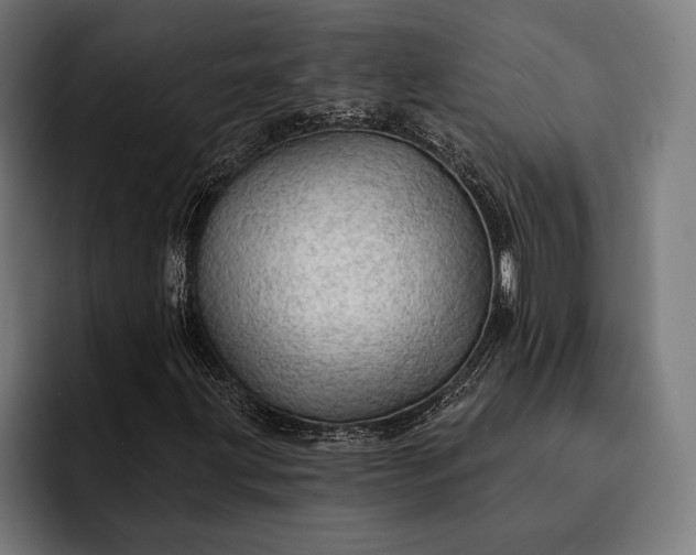 X0000093111203200710101015