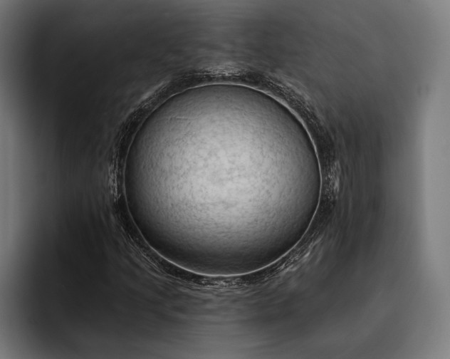 X0000093111205200710101015